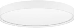 Nova Luce Olaf LED mennyezeti lámpa (NL-9085233)