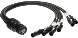 KLOTZ Fanout de alimentare multicore cu 6 pini Klotz, RMP419AR - 6 x powerCON TRUE1, compatibil Socapex - 1m (LT-I20016)