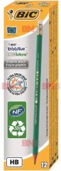 BIC Creion HB cu guma BIC EVOLUTION 655HB (C303)