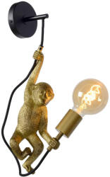 Lucide Chimp 10202/01/30