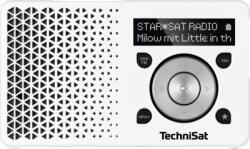 TechniSat DigitRadio 1 (0001/4997)