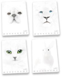 Patria Pigna: Monocromo White vonalas füzet, A4 - többféle (P1111-0539) - jateknet
