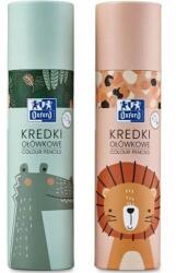 Oxford Kids színes ceruza készlet, 3 mm hegy, kerek keresztmetszet, 26 színű, ezüst és arany színben, karton tubusban, különböző mintákkal (400174527)