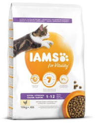 EUKANUBA Iams Cat Kitten & Junior Chicken macskatáp 10kg