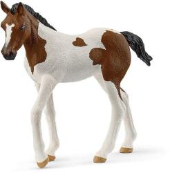 Schleich Животно - Жребче пейнт хорс (14899)