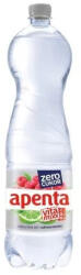 Apenta Vitamixx málna-lime 1.5l Drs