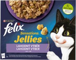 FELIX capsa (12x85g/tehén) sens zselé