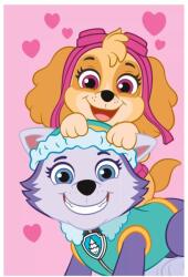 Nickelodeon Animation Studio Mancs őrjárat polár takaró - Skye és Everest (JFK037300)