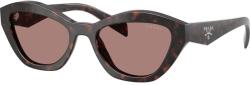 Prada PRA02S 17N60B