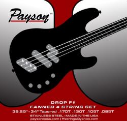 Payson Fanned SS 4 Drop F#