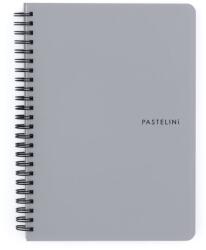 KARTON P+P Pastelini Twin wire A5 PP šedý (8-805)