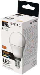 Avide Entac LED Mini gömb E14 6, 5W természetes fehér 4000K (LLMG14-6,5W-NW)