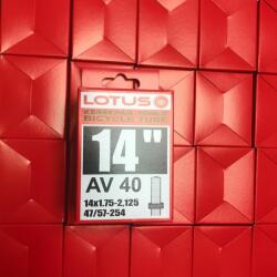 14x1, 75-2, 125 AV40 (47/57-254) LOTUS tömlő