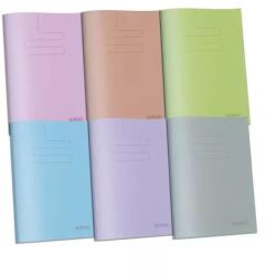 Herlitz Caiet A4 liniat colorat cu copertă PP - de la clasa a 4-a (300024595)