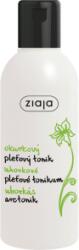 Ziaja Vegán arctonik 200ml uborka