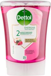 Dettol NN adagoló 250ml erdei gyümölcsökkel