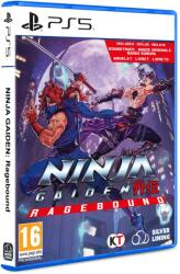 Dotemu Ninja Gaiden Ragebound (PS5)