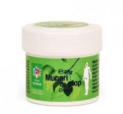 Steaua Divina Crema muguri de plop 40 g