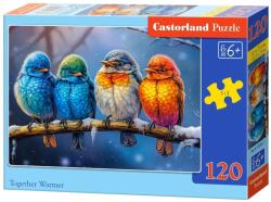 Castorland Puzzle Castorland din 120 piese - E mai cald împreună (B-13586-1) Puzzle