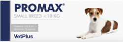 VetPlus Promax Small Breed bélflóra helyreállító probiotikus paszta (10 kg alatti kutyáknak) 9 ml
