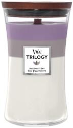 WoodWick Amethyst Sky Trilogy nagy üveggyertya 609 g