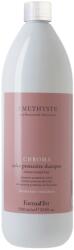 FarmaVita Sampon profesional pentru protectia culorii, Farmavita Amethyste Chroma, 1000 ml