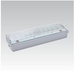 NBB CARLA 910101000