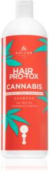 Kallos Hair Pro-Tox Cannabis sampon pentru regenerare cu ulei de canepa 1 l