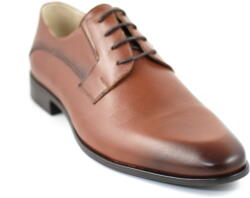 Ellion Pantofi barbati eleganti din piele naturala maro - 085MBOX, marimea 44