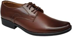 Lucianis Style Pantofi barbati, eleganti, din piele naturala, Maro, ADY2M, marimea 41