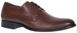 Ellion Pantofi barbati eleganti din piele naturala maro SIR769M, marimea 40
