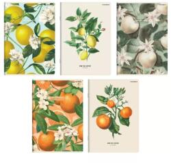 Herlitz Gyümölcs mintás Soft Touch négyzetrácsos füzet, A5 - többféle (400181620) - jateknet