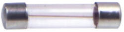  Üvegbiztositék 5x20 T 1.0 A (FUSE 1.000A20T)