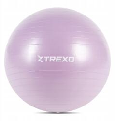 Trexo Gimnasztikai labda Trexo TXO-B4Z008-VT 65 cm lila (TXO-B4Z008-VT)