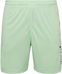 CHAMPION Férfi rövidnadrág - Champion Legacy M zöld