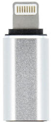 Adapter Type C (female) to Lightning (male) silver