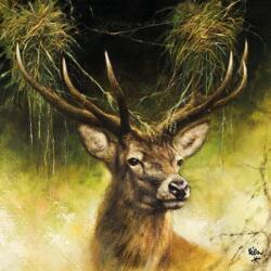 Ambiente Proud Deer papírszalvéta 33x33cm, 20db-os