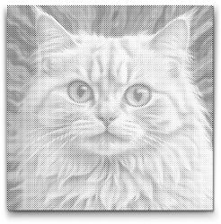  PontPöttyöző - Macska rózsaszín árnyalatokban Méret: 50x50cm, Keretezés: Kerek kartonlap, Szín: Fekete