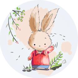  Festés számok szerint - Cuki nyuszi Méret: 50x50cm, Keretezés: Kerek kartonlap