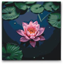  Festés számok szerint - Rózsaszín lótuszvirág Méret: 50x50cm, Keretezés: Kerek kartonlap