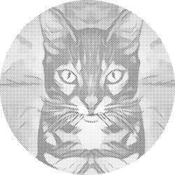  PontPöttyöző - Macskanézés 1 Méret: 50x50cm, Keretezés: Kerek kartonlap, Szín: Piros