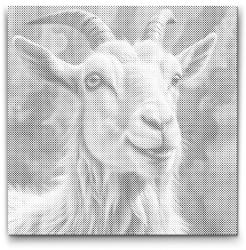 PontPöttyöző - Kecske türkiz és narancs árnyalatokban Méret: 50x50cm, Keretezés: Kerek kartonlap, Szín: Zöld