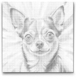  PontPöttyöző - Chihuahua vörös és kék árnyalatokban Méret: 50x50cm, Keretezés: Kerek kartonlap, Szín: Fekete