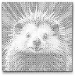  PontPöttyöző - Tarajos sül vörös és kék árnyalatokban Méret: 50x50cm, Keretezés: Kerek kartonlap, Szín: Kék