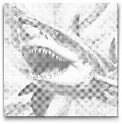 PontPöttyöző - Cápa türkiz és narancs árnyalatokban Méret: 50x50cm, Keretezés: Kerek kartonlap, Szín: Kék