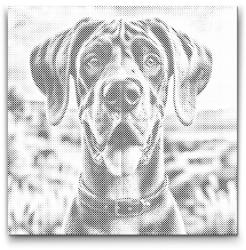  PontPöttyöző - Dán dog Méret: 50x50cm, Keretezés: Kerek kartonlap, Szín: Piros