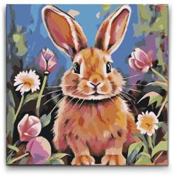  Festés számok szerint - Vidám nyuszi virággal Méret: 50x50cm, Keretezés: Kerek kartonlap