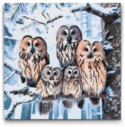  Festés számok szerint - Bagoly család télen Méret: 50x50cm, Keretezés: Kerek kartonlap