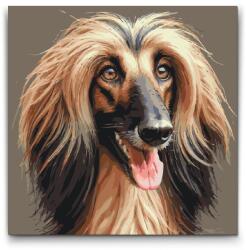  Festés számok szerint - Afgán kopó Méret: 50x50cm, Keretezés: Kerek kartonlap