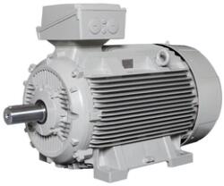 Lammers 13AA132CB4 háromfázisú villanymotor 400 V/690 V | 11000 W | 1300 RPM | B3 talpas (34011001201201)